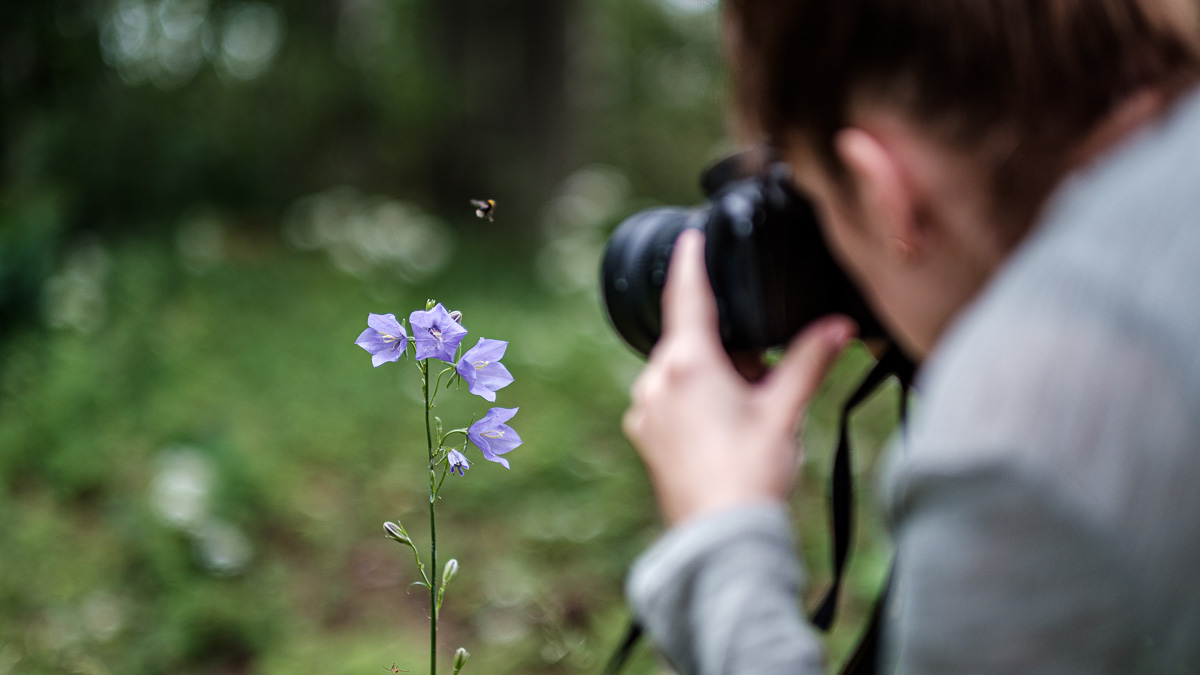 Fotokursi iesācējiem online (1.līmenis) - Image 4