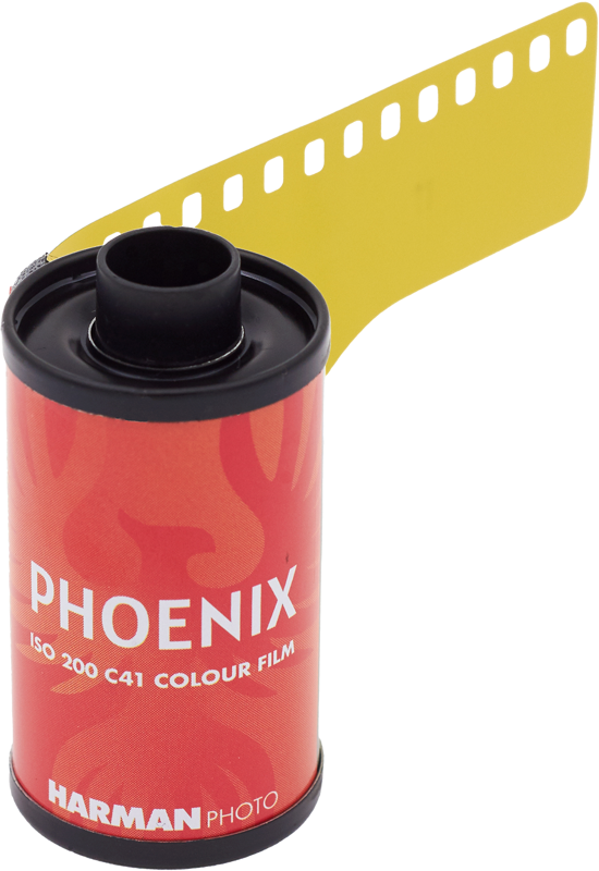 Seminārs "Vasara ar Phoenix" - Image 7