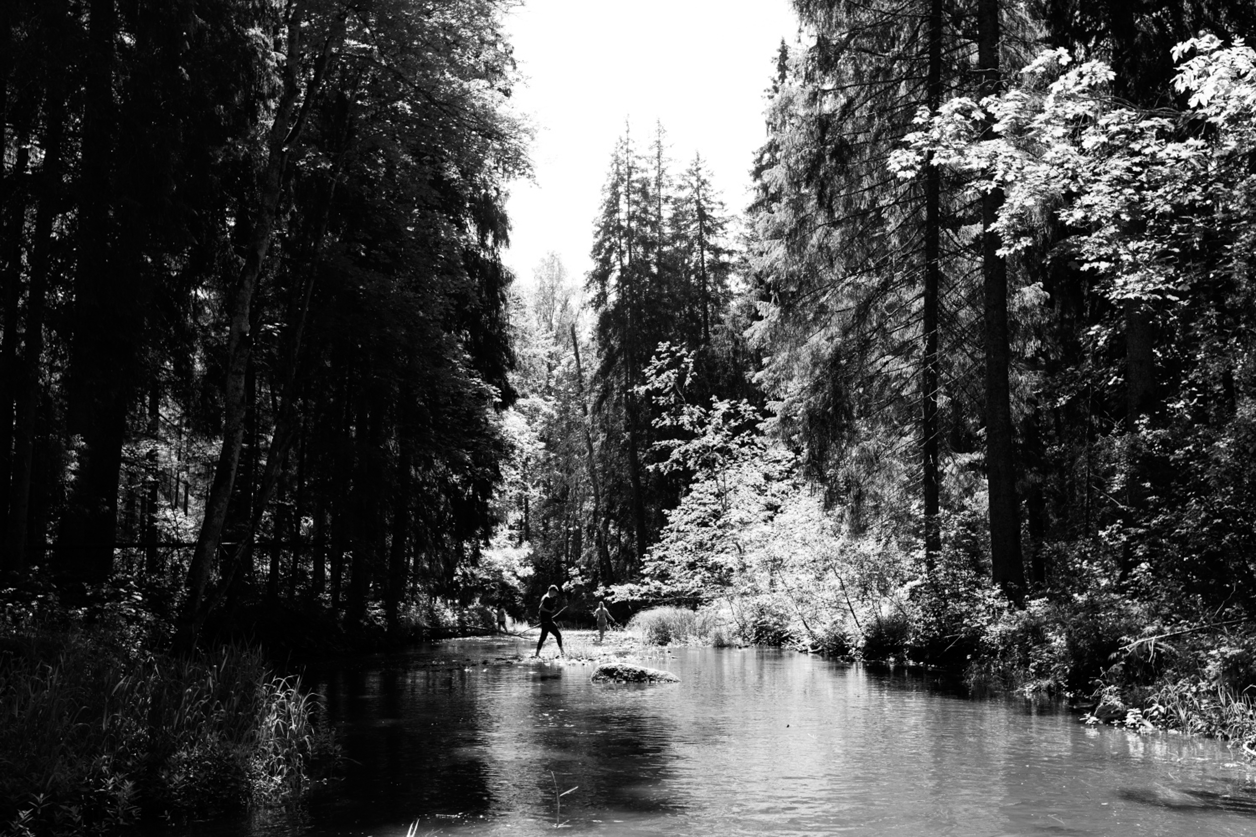 "Upes gari", radošais plenērs - Image 4