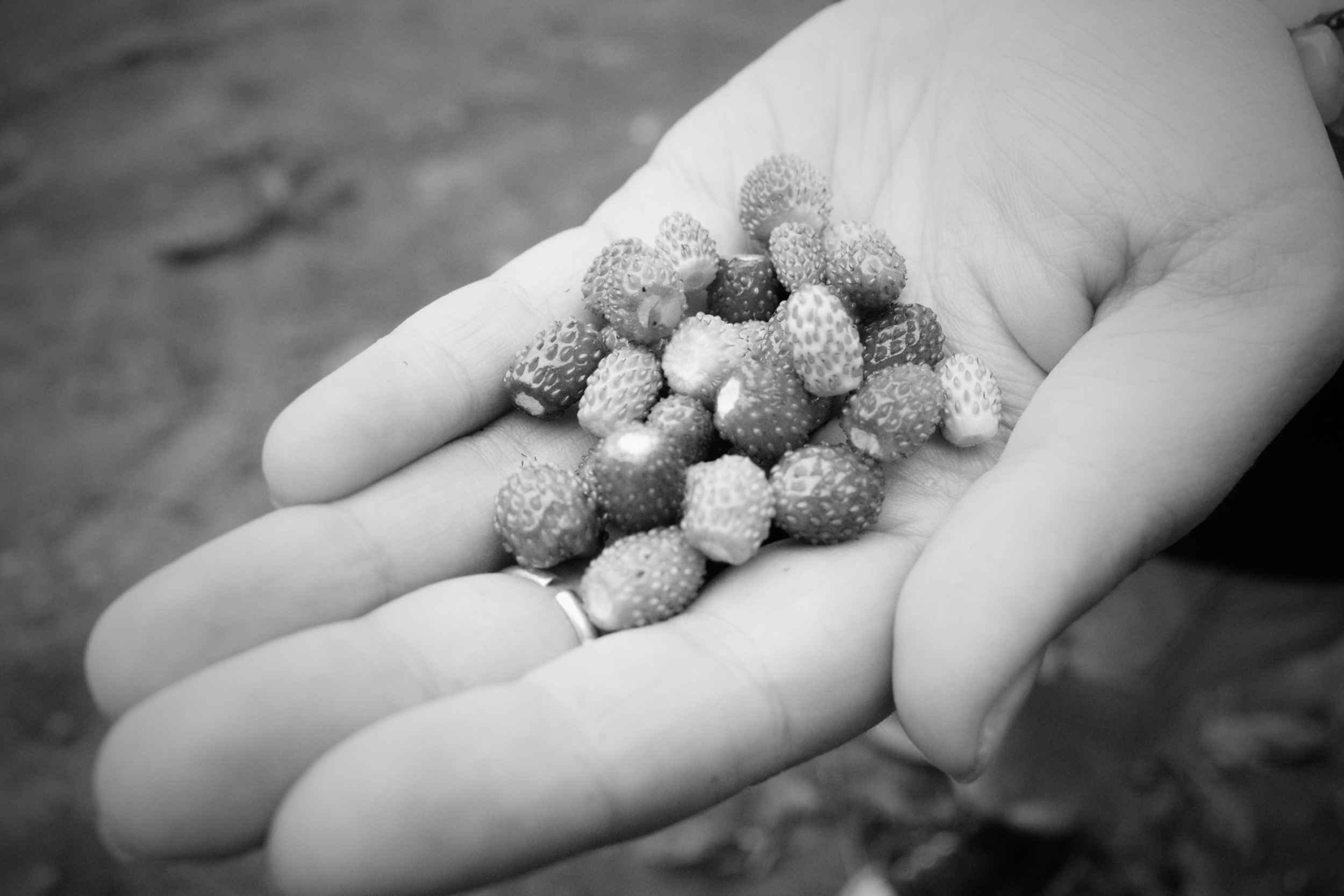 "Upes gari", radošais plenērs - Image 14